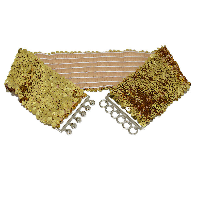 shiny sequin belt on a neutral background