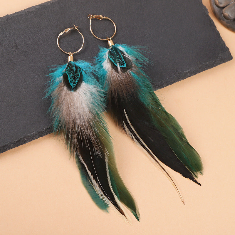 Multi-colour feather earrings displayed