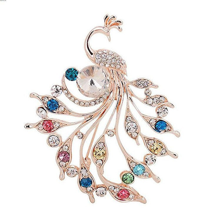 Charming animal pin brooch - Stylish dragonfly