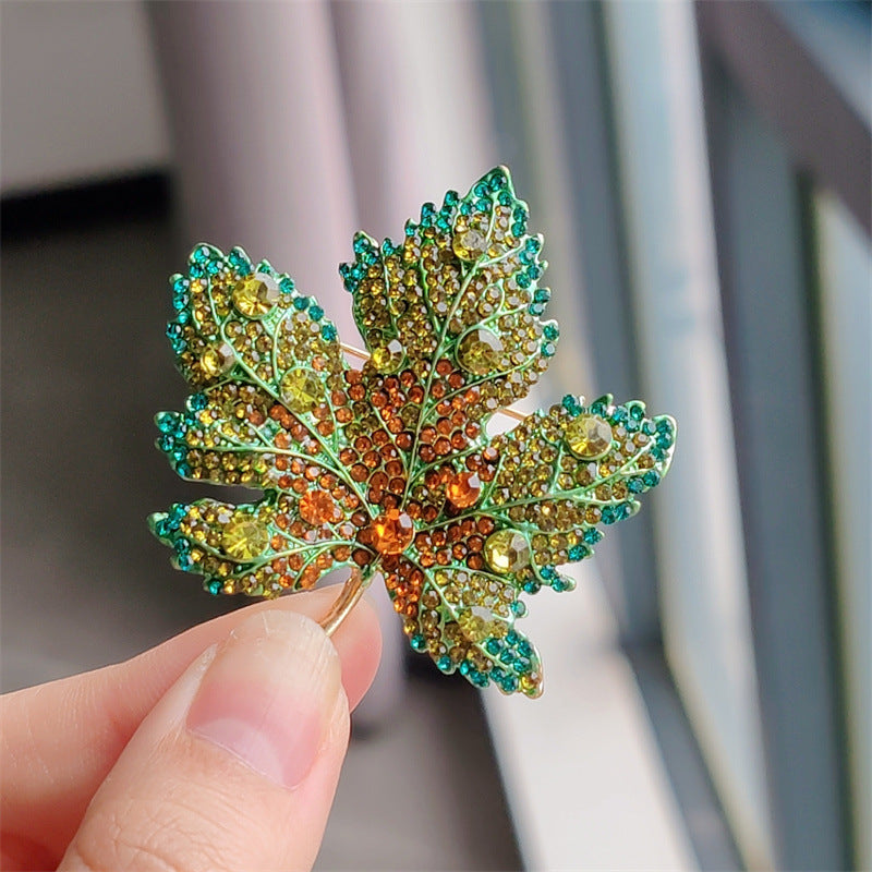 Brooch on Fashion Apparel - Elegant Detail