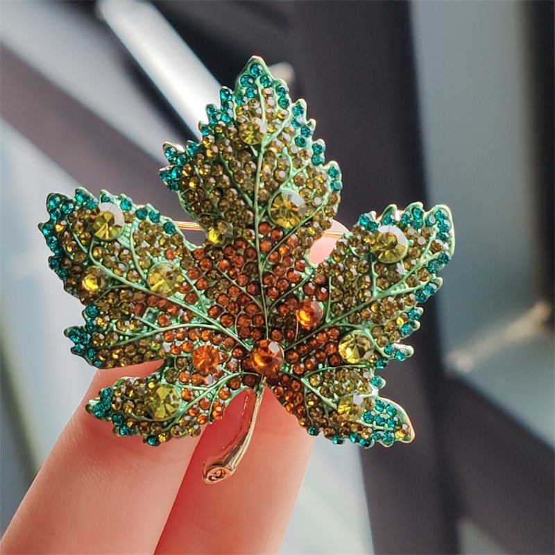 Brooch on Fashion Apparel - Elegant Detail